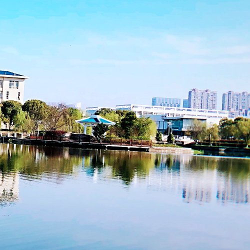 成考专升本_经济学专业